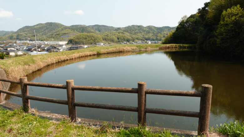 正面池、池底には何か潜んでいるかも？