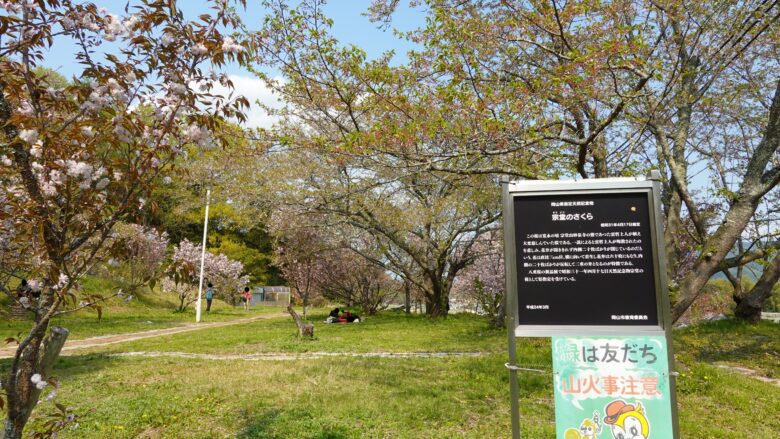 妙泉寺跡（宗堂桜の里）