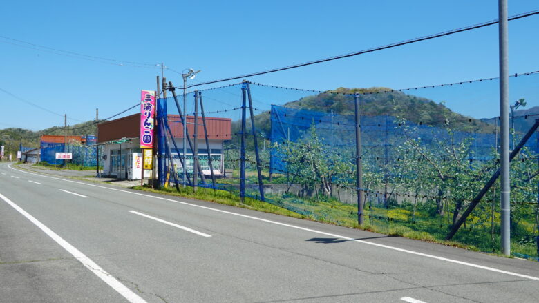 リンゴ園では、青いネットでリンゴを守っているようだ