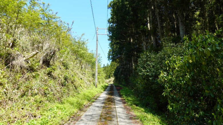 やっと開けてきたか