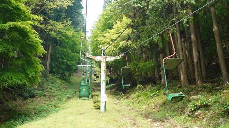 つかの間の空中遊泳を楽しむ