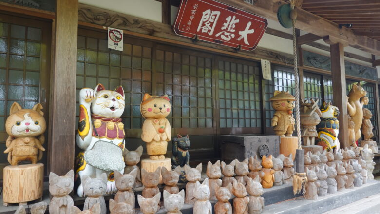 本堂縁側には猫地蔵が並ぶ