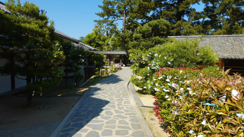 「傘みくじ」が織りなす参道がいい感じ♪