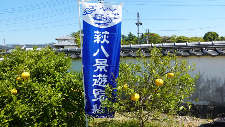 萩八景遊覧船ののぼり旗と夏ミカン