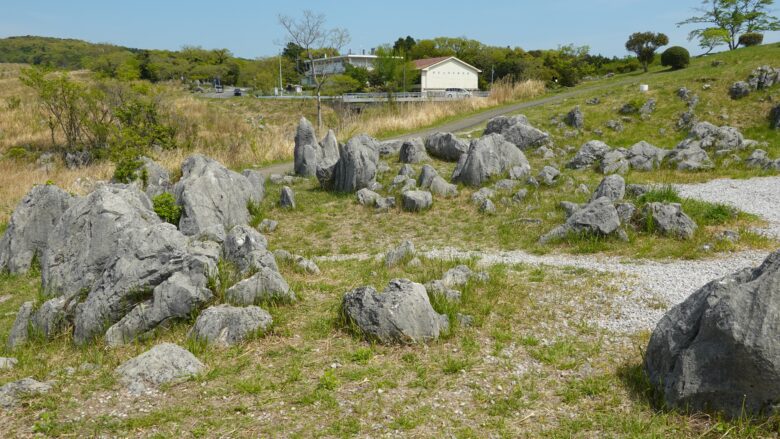 石灰岩をじっくり観察してみよう