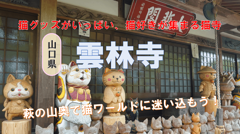 「雲林寺」の紹介サムネ