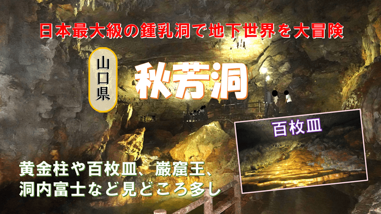 「秋芳洞」の紹介サムネ