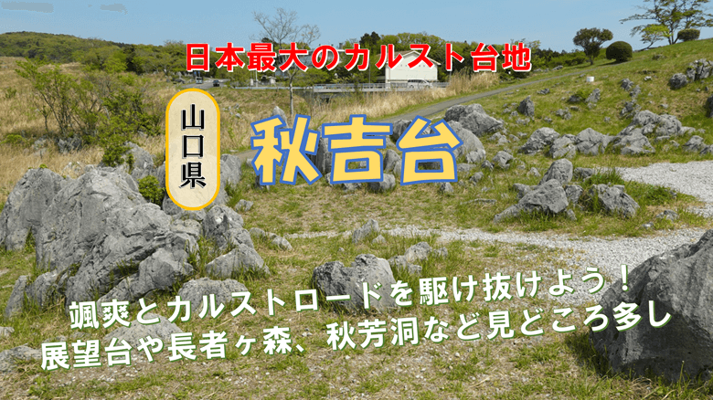 「秋吉台」の紹介サムネ