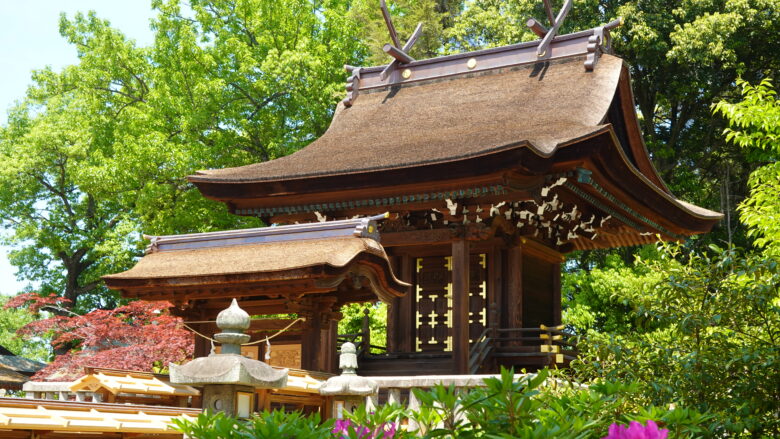 阿智神社(本殿)、入母屋流造の檜皮葺の建物は味わい深い