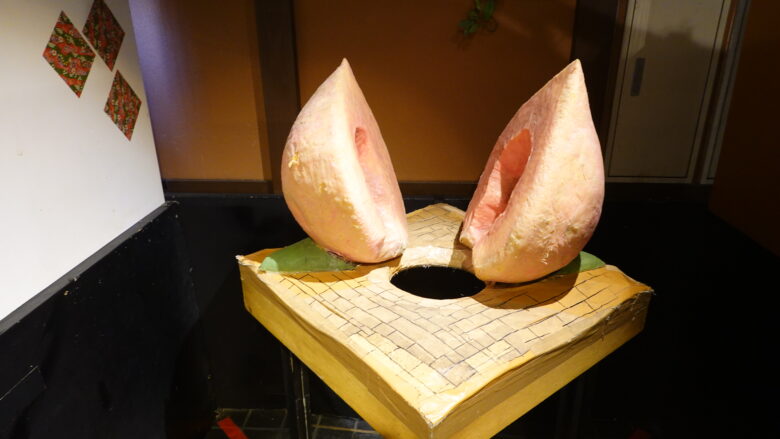 体が消えてしまう不思議な桃