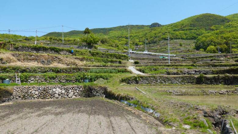 中山千枚田の風景