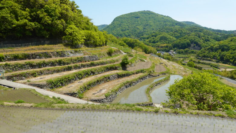 棚田の風景