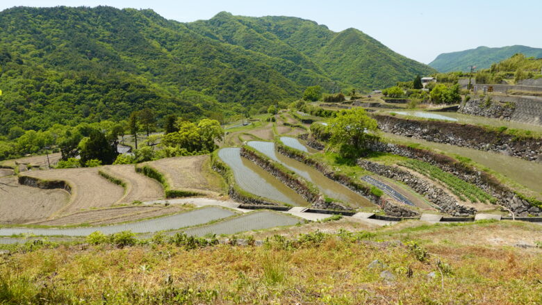 中山千枚田