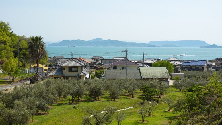 小豆島といったらやっぱりオリーブの木でしょ。