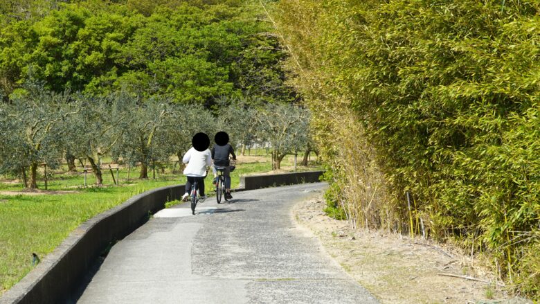 坂道には電動アシスト自転車が最適