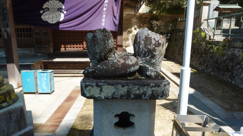 狛大根と呼んでいいかも