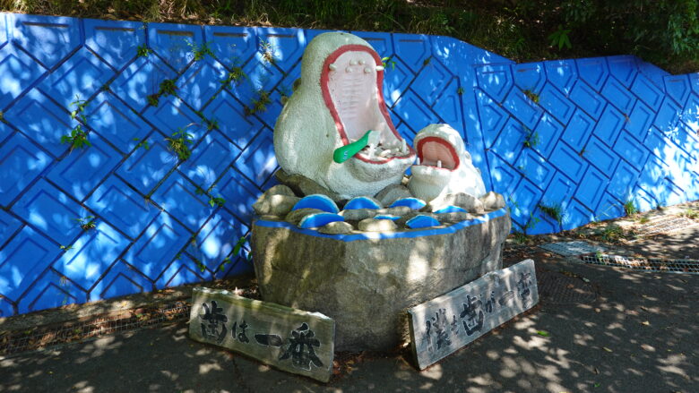 カバさんからのメッセージ「歯は一番」