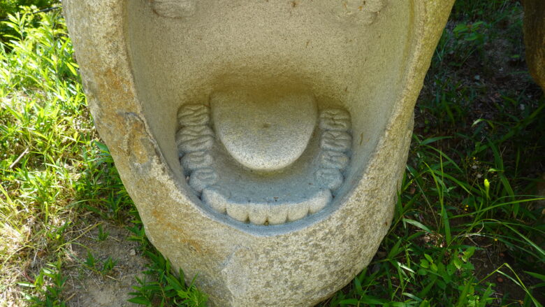 きれいな歯並びでしょ