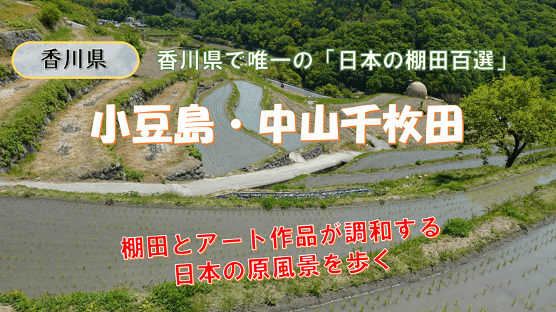 「中山千枚田」の紹介サムネ