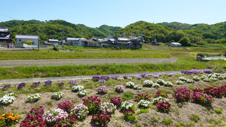 穏やかな風景が広がる