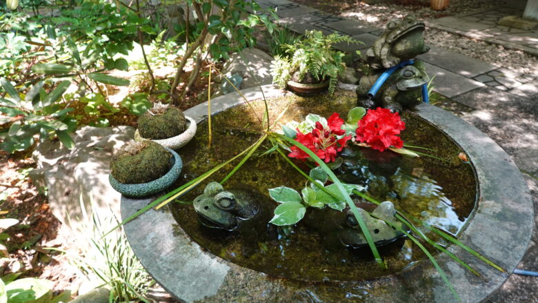 「ゲロ、ゲロ」とカエルの鳴き声が聞こえる気がするぞ