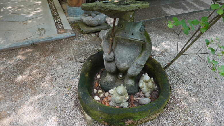 カエルに雨宿りは必要か？