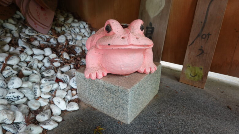 おっ、カエルを発見！