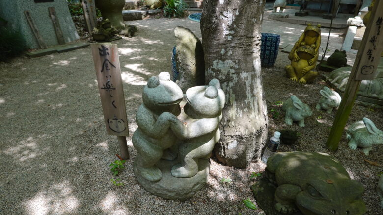 カップルのカエル