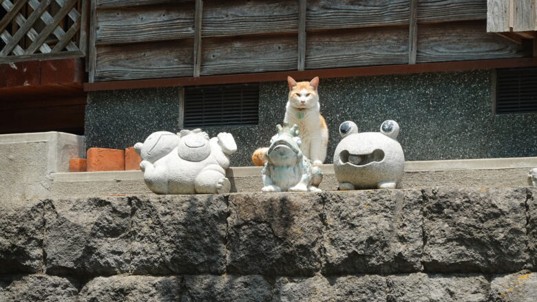 猫ちゃんもいるぞ