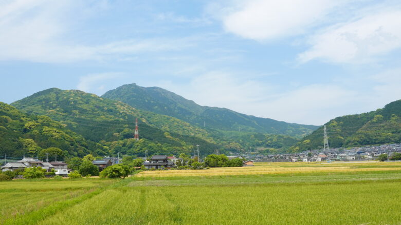 どこにでもありそうな風景だけど、そこがいい