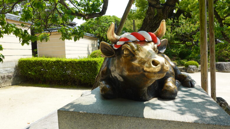 遠慮せずに触ってね