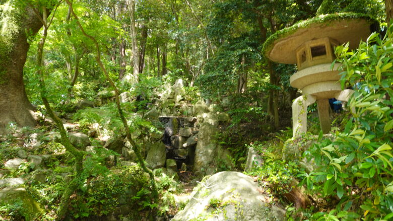 森の中で小さな滝を発見