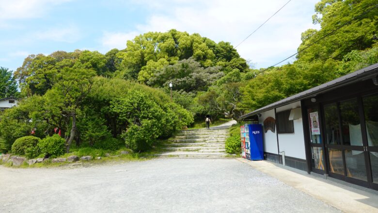 石段を上って行こう