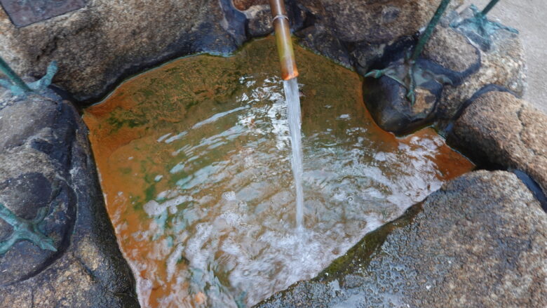 どんな味なのか気になる