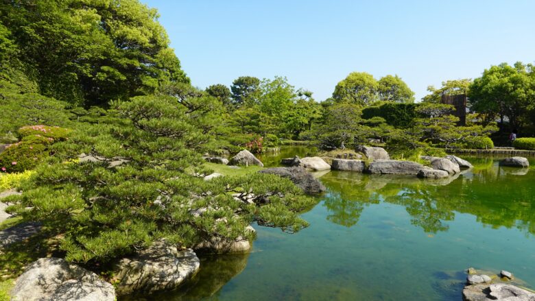大池の風景がGood