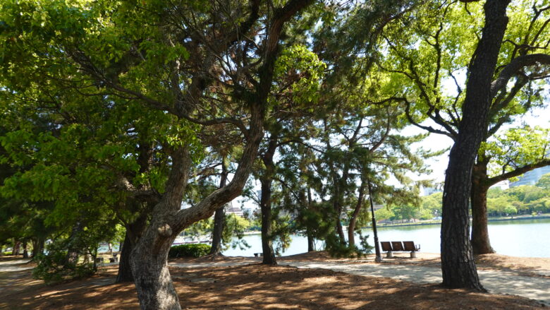 松林の景観がいい感じ