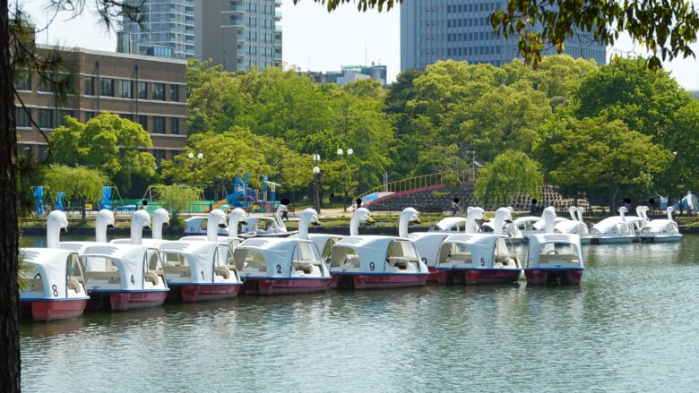 園内には、白鳥ボートや遊具もあるぞ