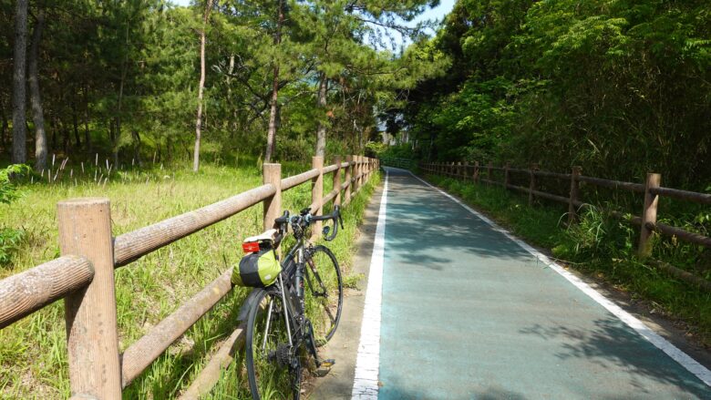 松林の中を征く