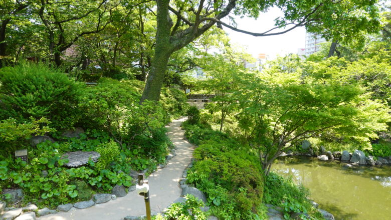 新緑の季節、生き生きとした自然の息吹を感じる