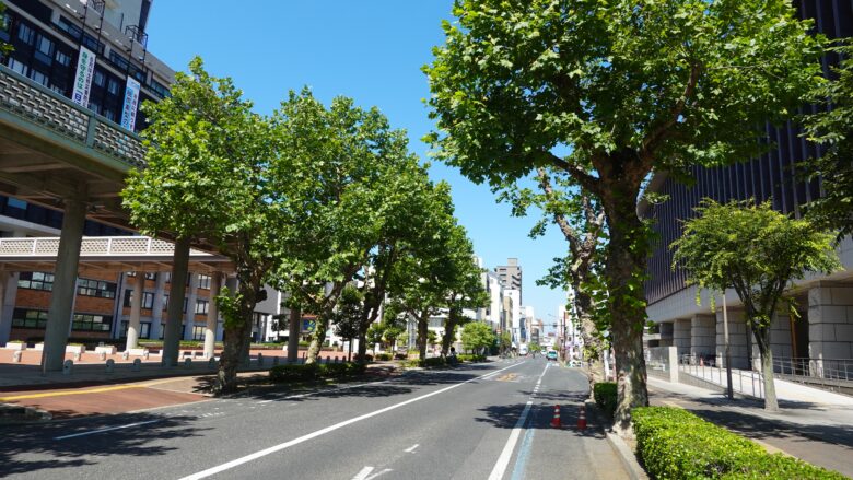 県庁通りの風景