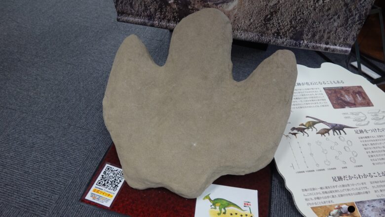 恐竜の足跡模型