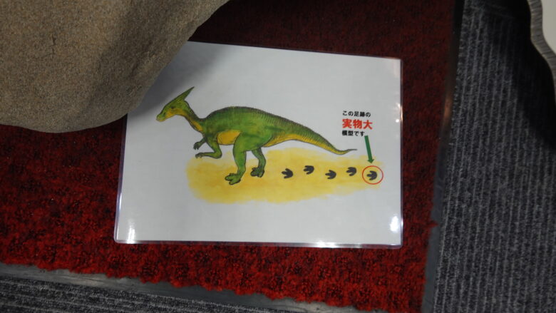 足跡を残した恐竜のイメージ