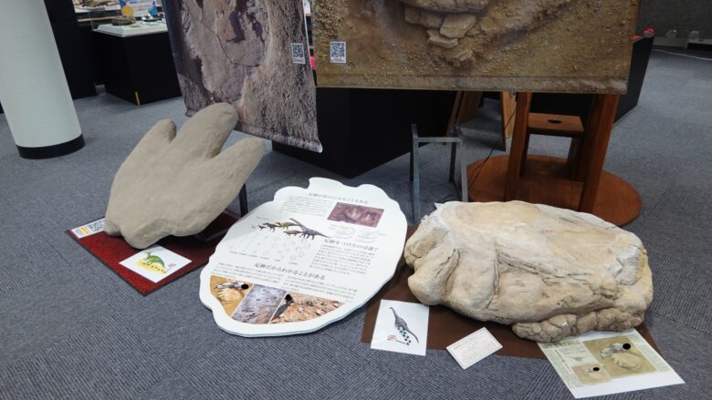 恐竜の足跡を展示