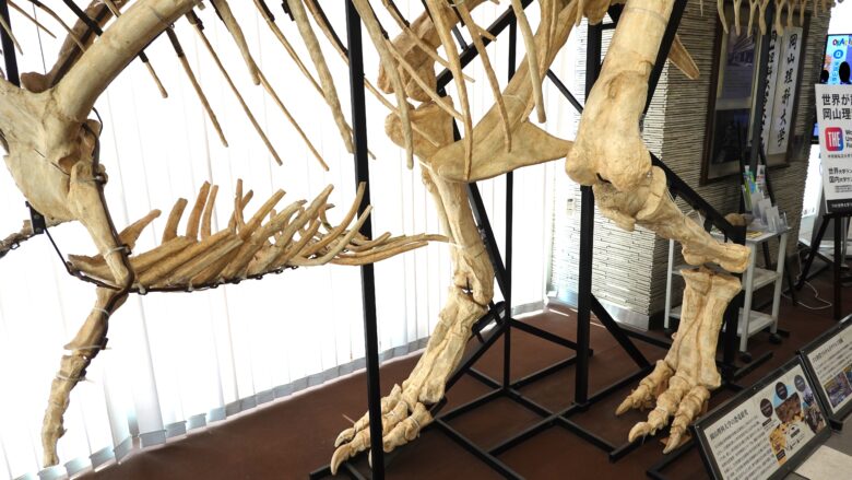 俊敏そうな脚だな