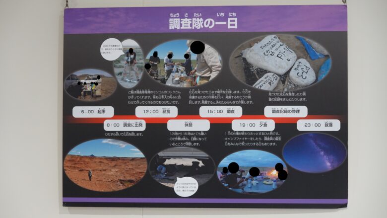 調査隊の一日