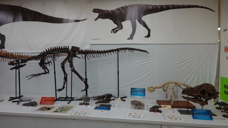 恐竜の骨格標本