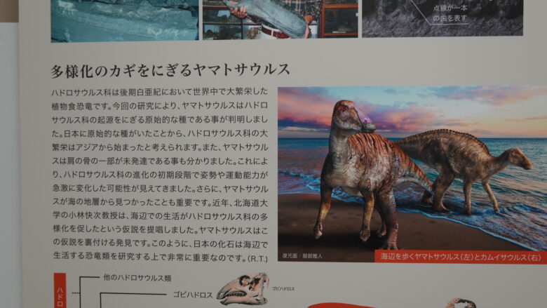 ヤマトサウルスの説明