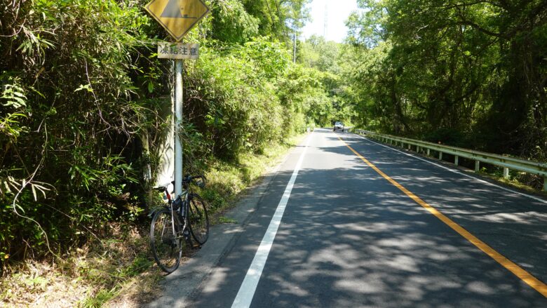 本日は平坦路ばっかりだったので、たまには坂道も走るぞ
