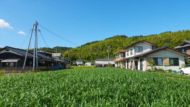 平和を感じるぞ