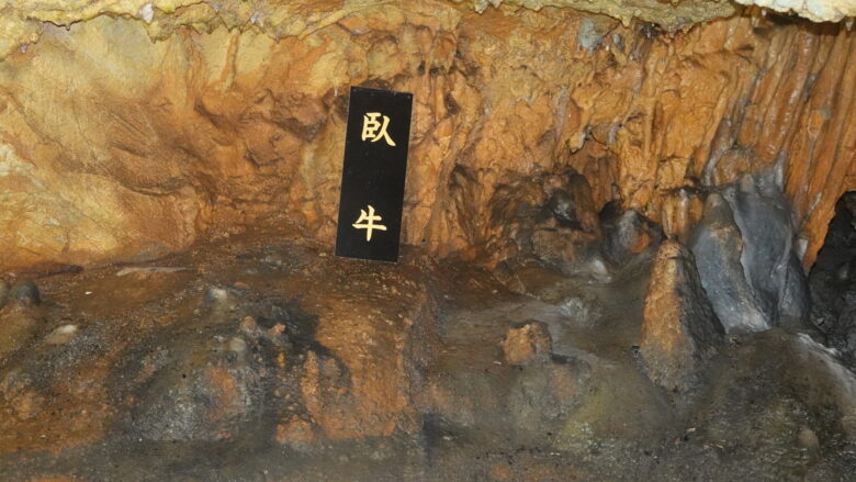 【臥牛】おっ、これは確かに牛だ！！